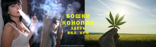 тгк Володарск